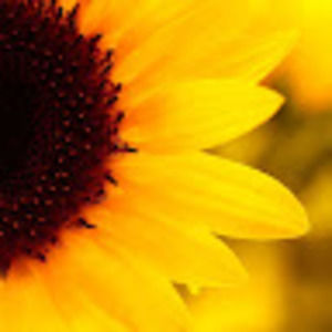 Meet your Posher, Melina